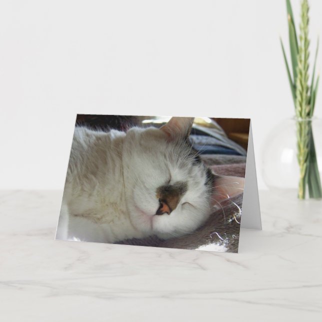 Sömnig kattungefödelsedag kort (Framsida)