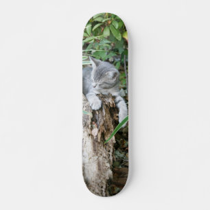 Sömnig kattungeskateboard skateboard bräda 21,5 cm