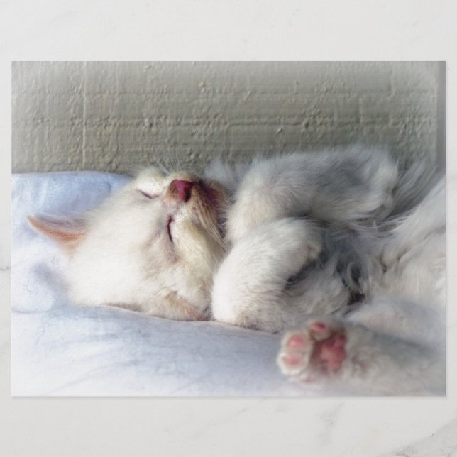 Sömnig Kitten (Framsida)