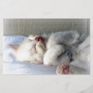 Sömnig Kitten Brevpapper