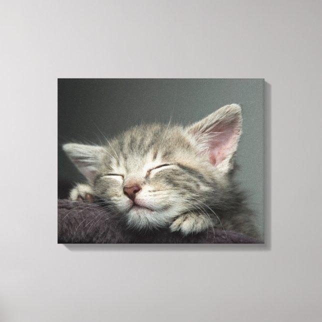 Sömnig Kitten Canvastryck (Framsida)