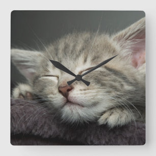 Sömnig Kitten Fyrkantig Klocka