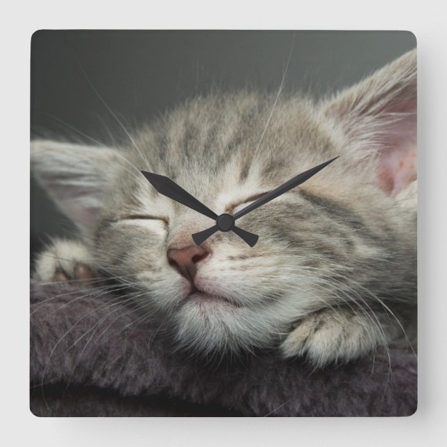 Sömnig Kitten Fyrkantig Klocka (Framsida)