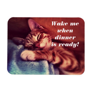 Sömnig Kitten Magent Magnet