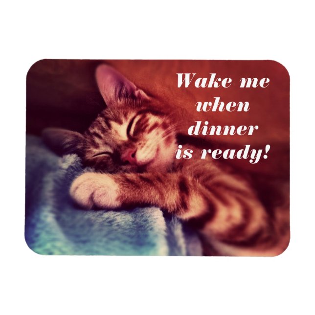 Sömnig Kitten Magent Magnet (Horisontell)