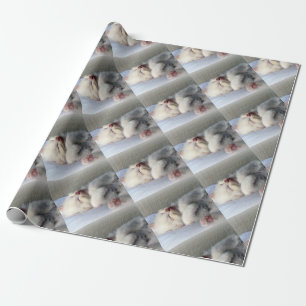 Sömnig Kitten Presentpapper