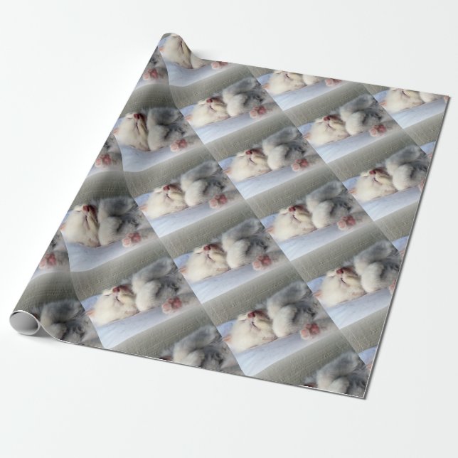 Sömnig Kitten Presentpapper (Utrullad)
