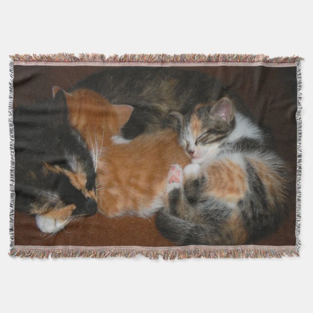 Sömnig kittens filt (Framsidan)