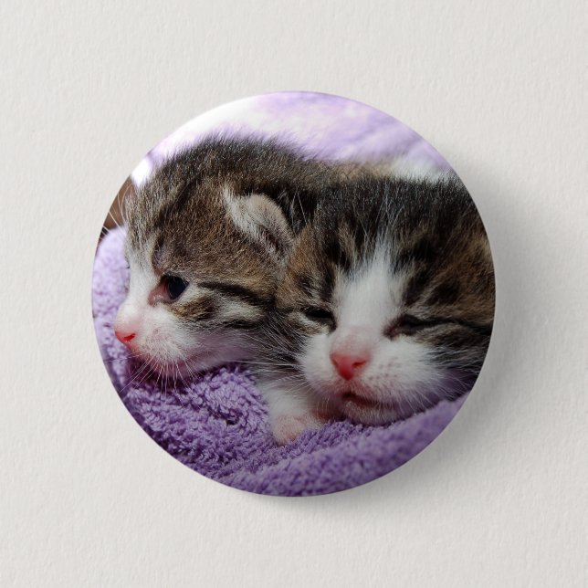 Sömnig kittens knapp (Framsida)
