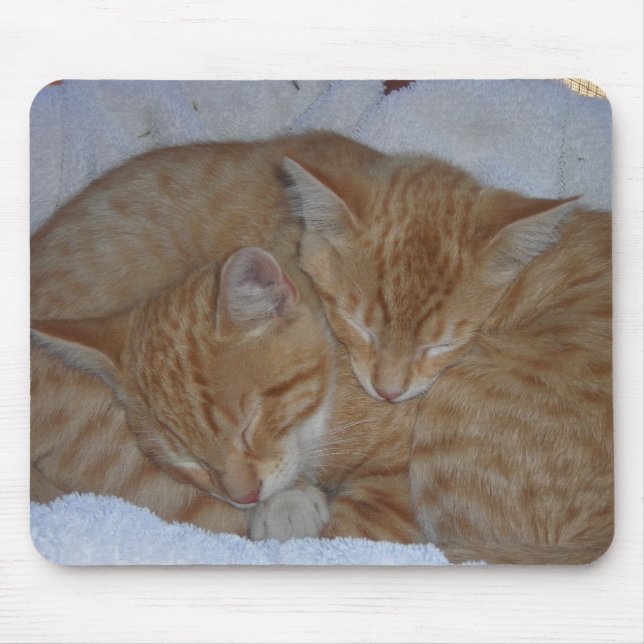 Sömnig kittens musmatta (Framsidan)