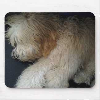 Sömnig klottret musmatta