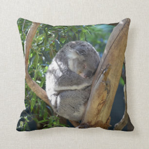 Sömnig Koala Kudde