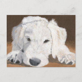 Sömnig Labradoodle-Valp Vykort