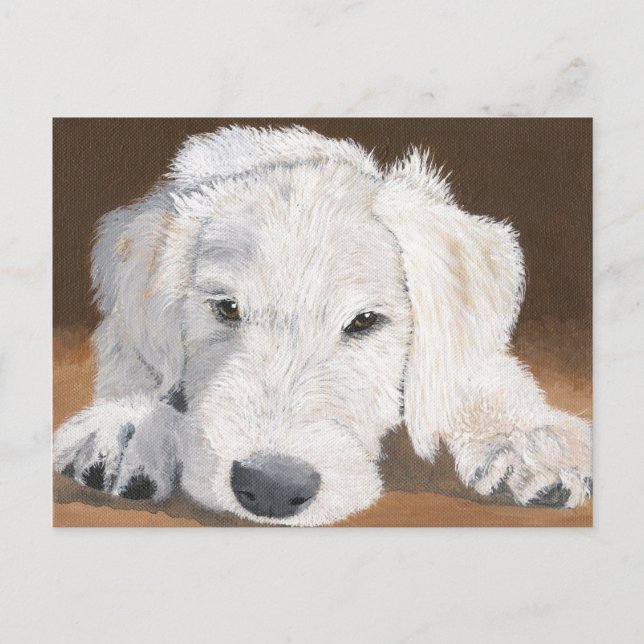 Sömnig Labradoodle-Valp Vykort (Framsida)