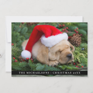 Sömnig Labrador Retriever-valpen med Santa Hat Julkort