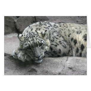 Sömnig Leopard Hälsningskort