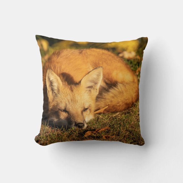 Sömnig Little Fox Kudde (Framsida)