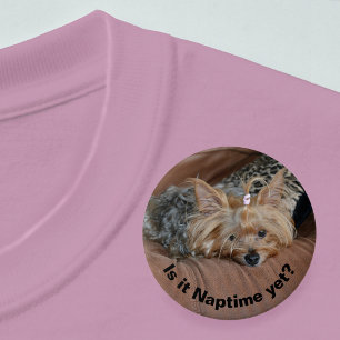 Sömnig Little Yorkshire Terrier Puppy Knapp