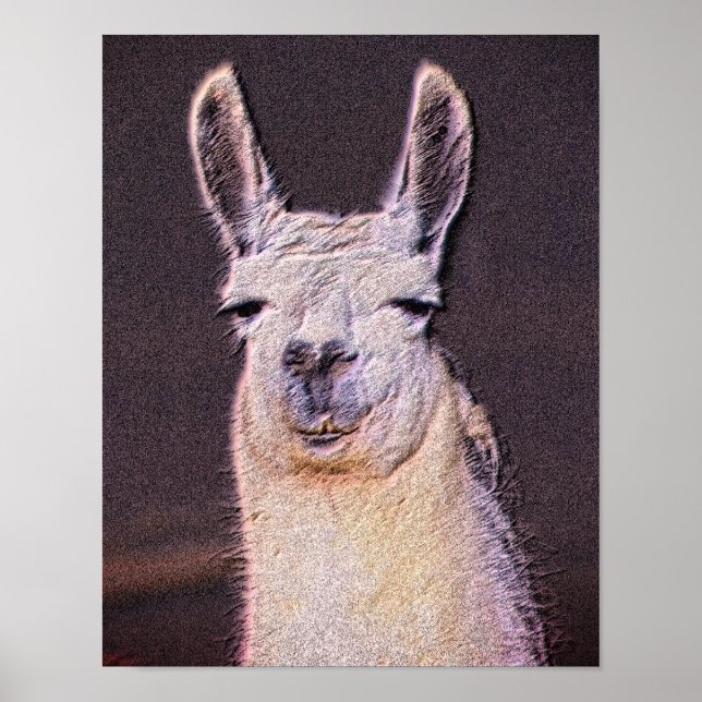 Sömnig Llama Ansikte Animal Art Poster (Framsidan)