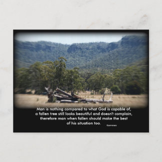 Sömnig logg, Man är inget jämfört med vad... Vykort