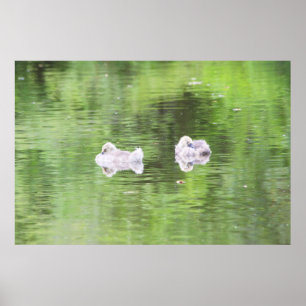 Sömnig målningar poster