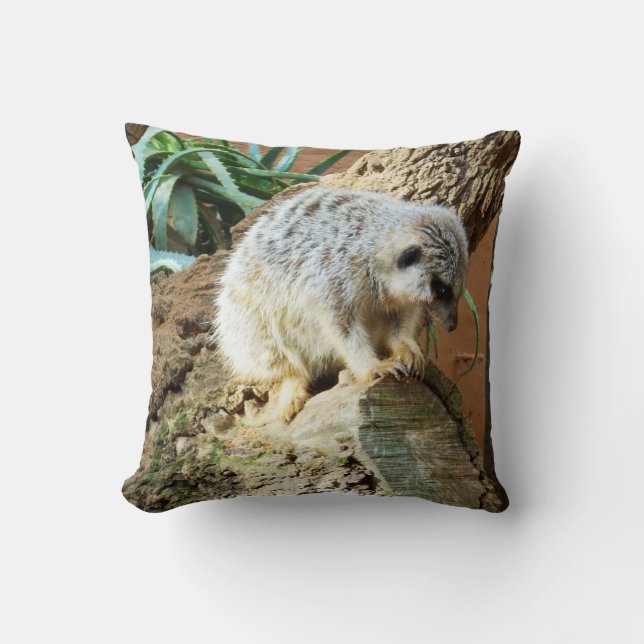 Sömnig Meerkat. Kudde (Framsida)