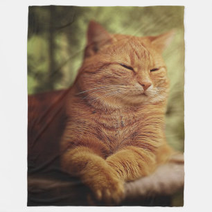 Sömnig orange katt på den stora ullfilten fleecefilt
