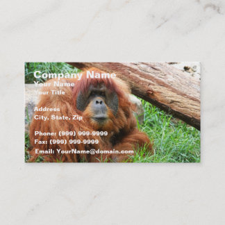 Sömnig Orangutan Visitkort