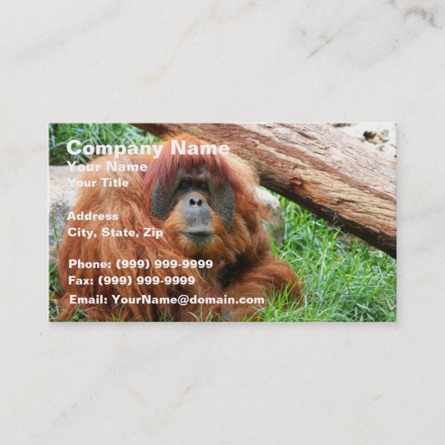Sömnig Orangutan Visitkort (Framsida)