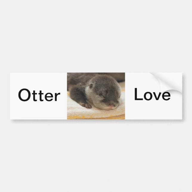 Sömnig Otter Bildekal (Framsidan)