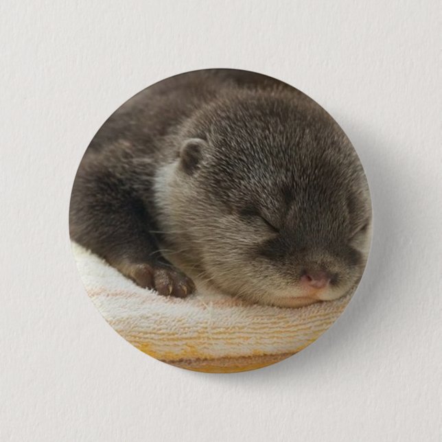 Sömnig Otter Knapp (Framsida)