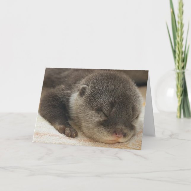 Sömnig Otter Kort (Framsida)