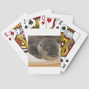 Sömnig Otter Kortlek