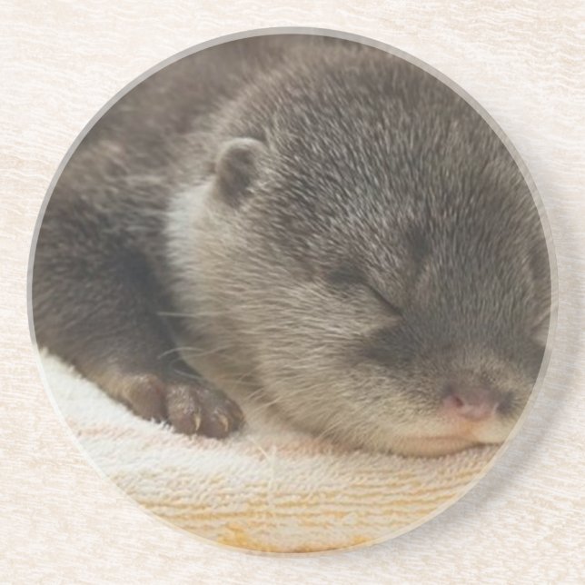 Sömnig Otter Underlägg (Framsidan)