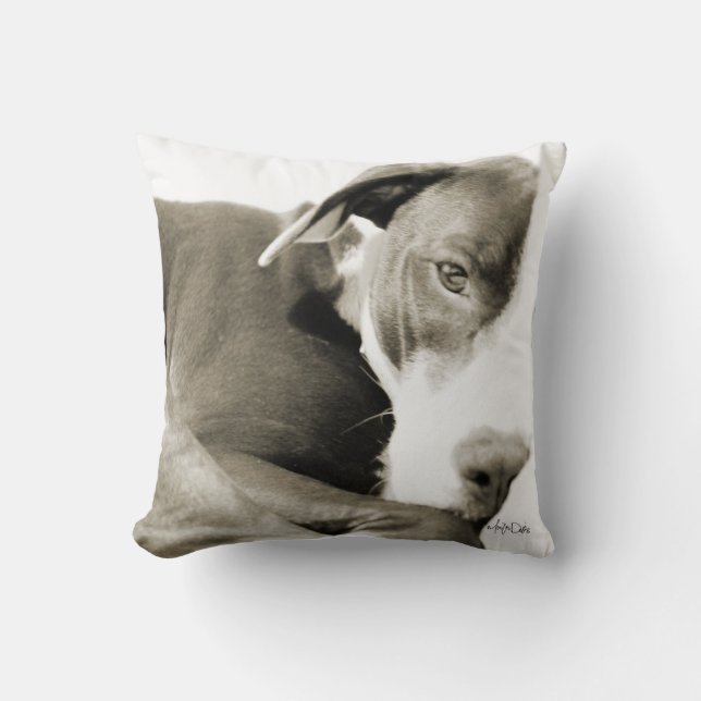 sömnig pitbull sepia fotografi kudde (Framsida)