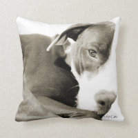 sömnig pitbull sepia fotografi kudde