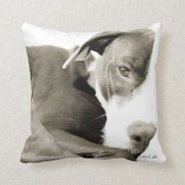 sömnig pitbull sepia fotografi kudde