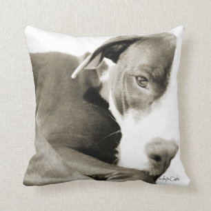 sömnig pitbull sepia fotografi kudde