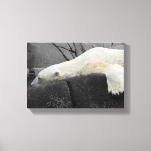 Sömnig Polar Bear Canvastryck