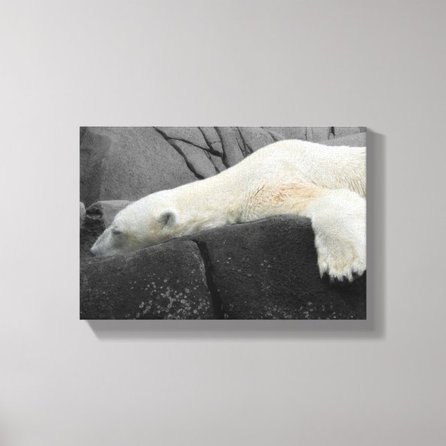 Sömnig Polar Bear Canvastryck (Framsida)