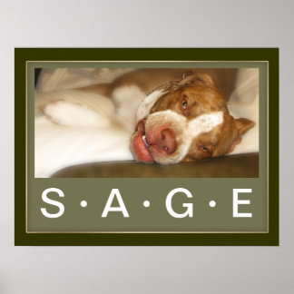 Sömnig Poster flicka