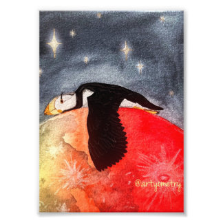 Sömnig Puffin Fototryck