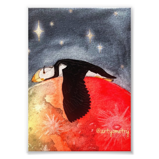 Sömnig Puffin Fototryck (Framsidan)