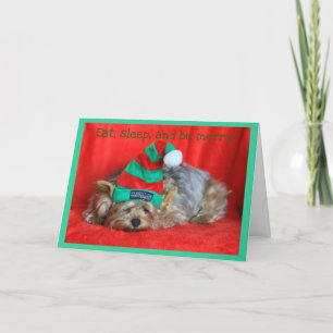 Sömnig Puppy Wearing Elf Hat Helgkort