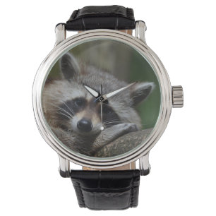 Sömnig Raccoon Armbandsur