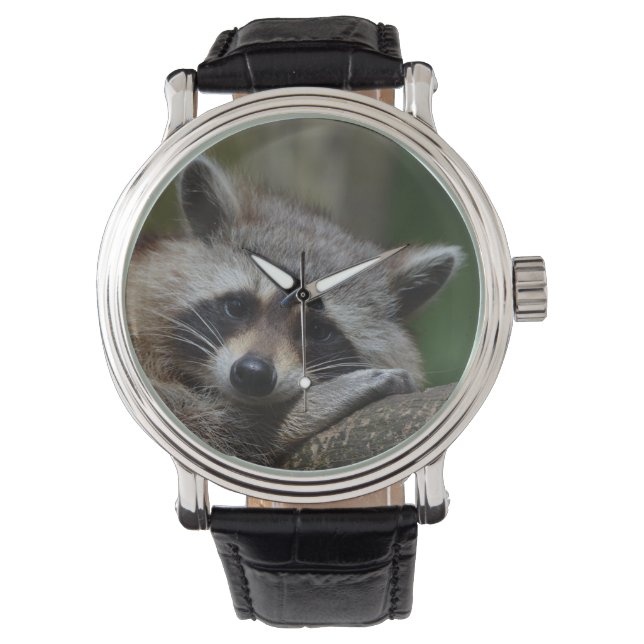 Sömnig Raccoon Armbandsur (Framsida)