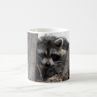 Sömnig Raccoon Kaffemugg