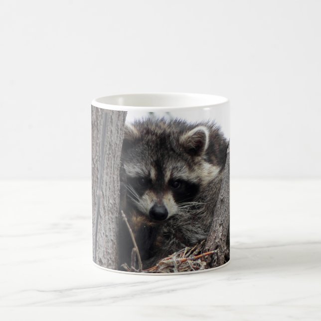 Sömnig Raccoon Kaffemugg (Center)