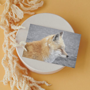 Sömnig Red Fox Funny Wildlife Birthday Kort