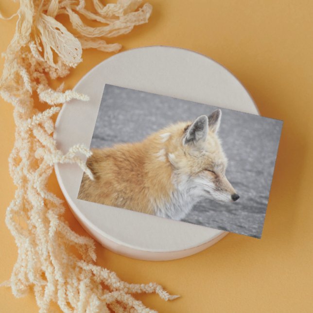 Sömnig Red Fox Funny Wildlife Birthday Kort (In Situ)